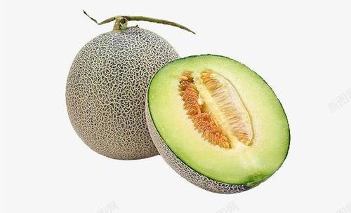 今日水果推荐哈密瓜,哈密瓜——沙漠中的清凉果王