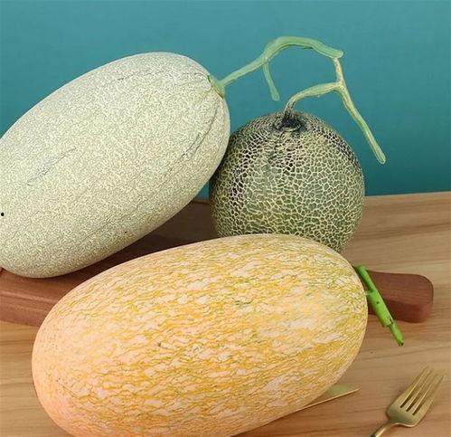 今日水果推荐哈密瓜,哈密瓜——沙漠中的清凉果王