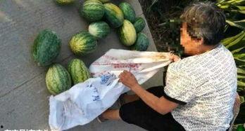 吴忠吃瓜最新事件爆料,揭秘背后惊人真相