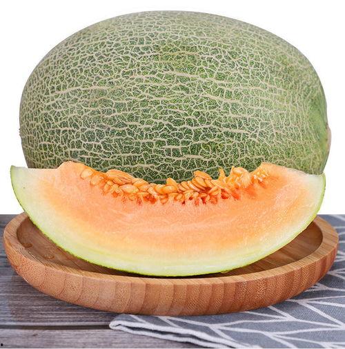 今日海南小蜜瓜价格多少,价格行情一览”