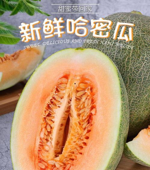 今日海南小蜜瓜价格多少,价格行情一览”