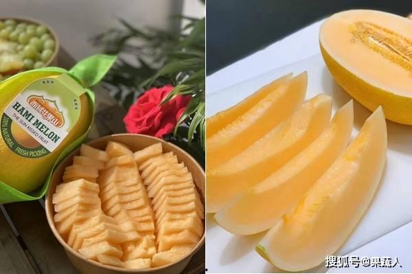 今日海南小蜜瓜价格多少,价格行情一览”