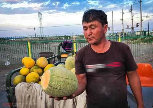 哈密瓜今日多少钱1斤,一斤多少钱？”