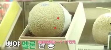 哈密瓜今日多少钱1斤,一斤多少钱？”