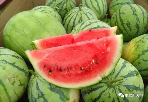 今日最新最火的瓜,当红明星疑涉重大丑闻，真相即将揭晓！