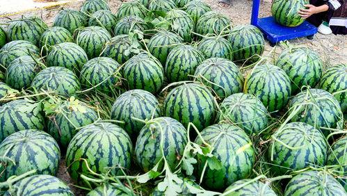 世界各地吃瓜爆料事件,揭秘热点事件背后的真相与争议