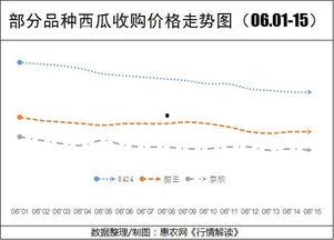 今日新疆瓜价走势如何