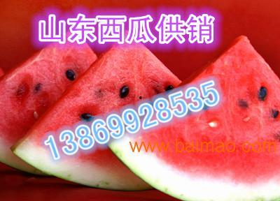 大瓜今日行情,涨跌互现，市场动态一览