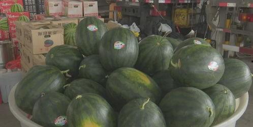 大瓜今日行情,涨跌互现，市场动态一览