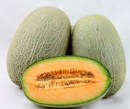 哈密瓜批发今日行情价格