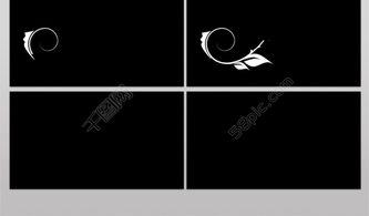 素材视频,一场视觉与情感的盛宴