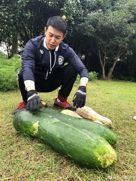 最新的吃瓜爆料是什么,神秘事件真相大揭秘！