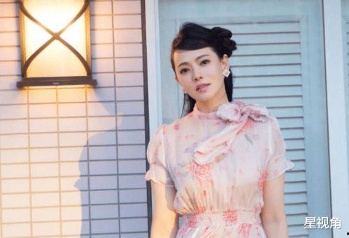 吃瓜聂小雨黑料,真相与争议并存