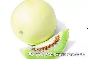 白兰瓜今日行情,今日价格走势分析