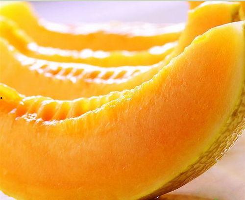 广州的瓜今日,新鲜美味尽享一夏