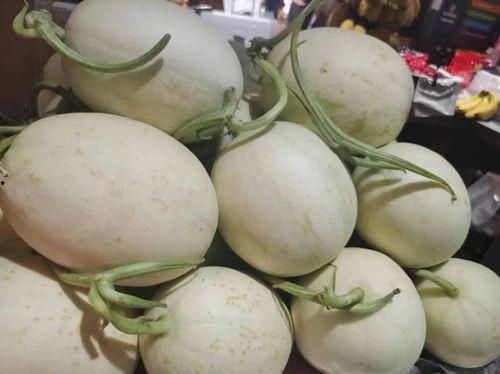 海南玉菇瓜今日价格行情最新,今日市场动态一览