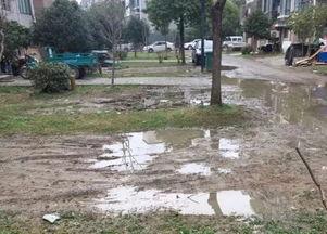 吃瓜爆料小区邻居,揭秘小区邻居的神秘生活