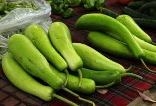 黑葫芦瓜怎么吃才好吃呢