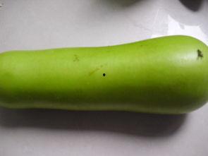 黑葫芦瓜怎么吃才好吃呢