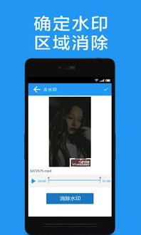 视频去水印软件