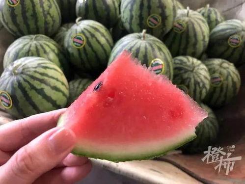 玲珑瓜今日价格行情,价格波动解析与市场趋势洞察”