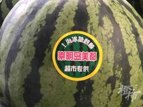 玲珑瓜今日价格行情,价格波动解析与市场趋势洞察”