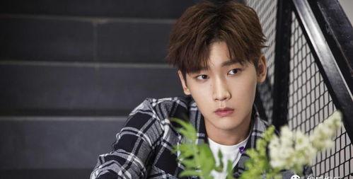 会长吃瓜爆料杨洋和热巴