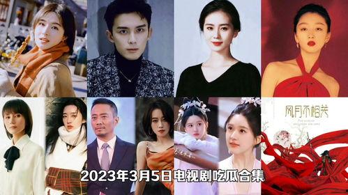 今日聪慧吃瓜视频大全,聪慧视频大全精彩回顾