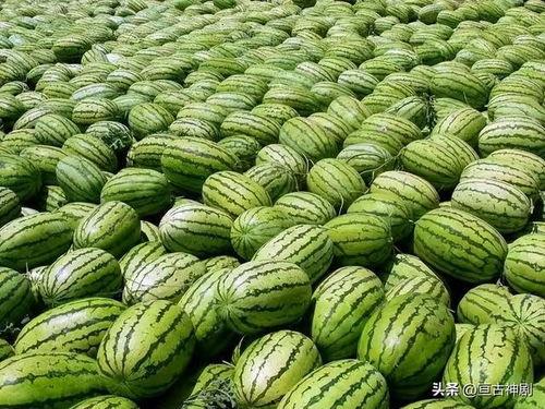 河美吃瓜爆料是真的吗,真相还是谣言？