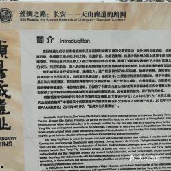 瓜州县今日猪价多少钱,行情稳定，价格详情揭晓