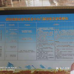 瓜州县今日猪价多少钱,行情稳定，价格详情揭晓