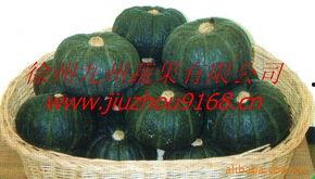 南瓜红瓜价格今日最新行情,价格波动解析与市场趋势洞察”