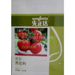 山东今日吊瓜价格,市场行情实时解析